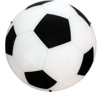 Cветильник ЭЛЕТЕХ Футбол 300, LED 24 M02, глянцевый белый, штамп металлик, светод, 1030450440