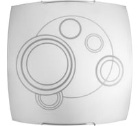 Светильник ЭЛЕТЕХ Галактика, 300х300 мм, НПБ 09-60-003 М83, матовый белый, крепеж хром, 1005205399