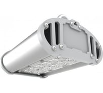 Светодиодный светильник ESLIGHT Prom 30Вт-Г-5000К- IP65 260х160х90мм 4910Лм ES5003055с