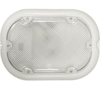 Светодиодный светильник ESLIGHT EL10-5000К с датчиком IP54 215х160х35мм 1000Лм ES8101050д