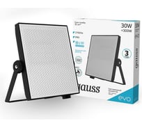 Светодиодный прожектор Gauss EVO 30W 2700lm 6500K IP65 черный 687511330