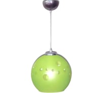 Светильник ЭЛЕТЕХ Поинт, НСБ, 72-60, М55, зеленый матовый/трос/шнур прозрачный/корпус металлик 1005251242