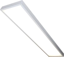 Светильник ПРОТОН для офисных, торговых, медицинских и общественных учреждений SSO-220/64-06.2WDO-SP 99984