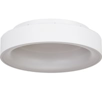 Потолочный светодиодный светильник MyFar Shannon MR2194-1PL