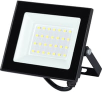 Прожектор светодиодный уличный ЭРА RED LINE LPR-024-030 30Вт 6500K IP65 влагозащищенный Б0059613