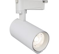 Трековый светильник ESCADA 20031TRA/02 LED 20W 4200K белый матовый 20031TRA/02LED SWH