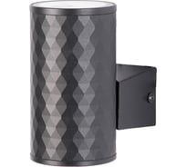 Фасадный светильник ARTE LAMP HYADUM A3458AL-1BK