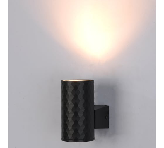 Фасадный светильник ARTE LAMP HYADUM A3458AL-1BK