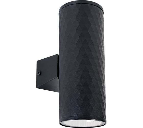 Фасадный светильник ARTE LAMP HYADUM A3458AL-2BK 1