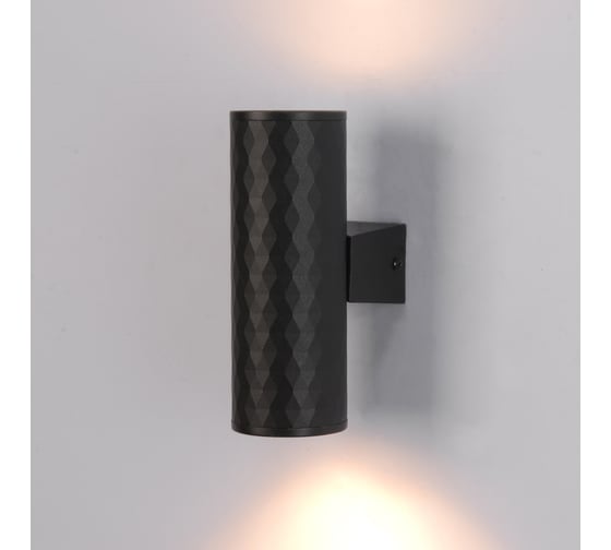 Фасадный светильник ARTE LAMP HYADUM A3458AL-2BK