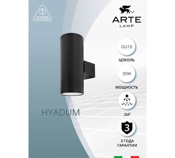 Фасадный светильник ARTE LAMP HYADUM A3458AL-2BK
