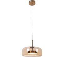 Подвесной светодиодный светильник MyFar Charlie MR2130-1PL
