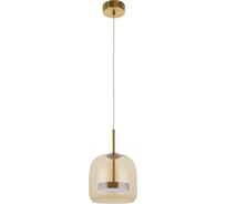 Подвесной светодиодный светильник MyFar Charlie MR2132-1PL
