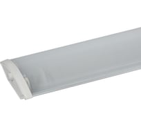 Светильник ЭРА ДПО 11-2х18-001 IP40 под 2 светодиодные лампы T8 2 G13 LED 1200 мм Б0048428