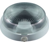 Светильник ВЛАДАСВЕТ НПП 03-100-201 Рондо IP44 Эконом 11353