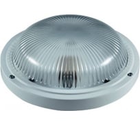 Светильник ВЛАДАСВЕТ НПП 03-100-002 IP65 ТЕХАС пл. стекло 10339