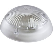 Светильник ВЛАДАСВЕТ НПП 03- 60 Сириус 11649