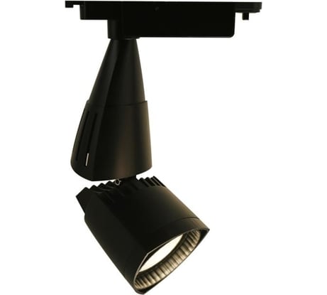 Потолочный светильник Arte Lamp A3830PL-1BK