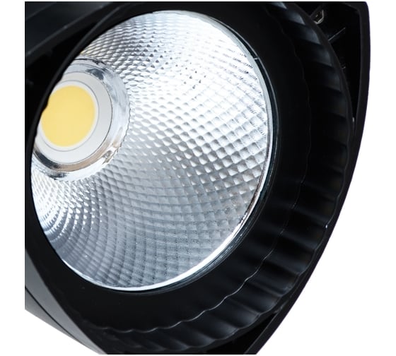 Потолочный светильник Arte Lamp A3830PL-1BK