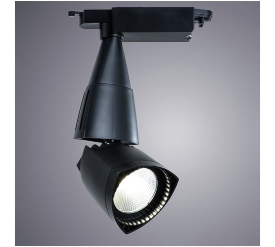 Потолочный светильник Arte Lamp A3830PL-1BK
