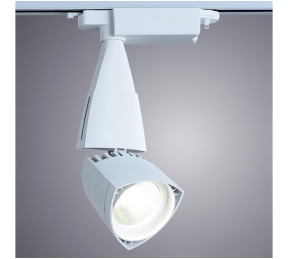 Потолочный светильник Arte Lamp A3830PL-1WH