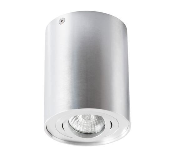 Потолочный светильник Arte Lamp A5644PL-1SI 1