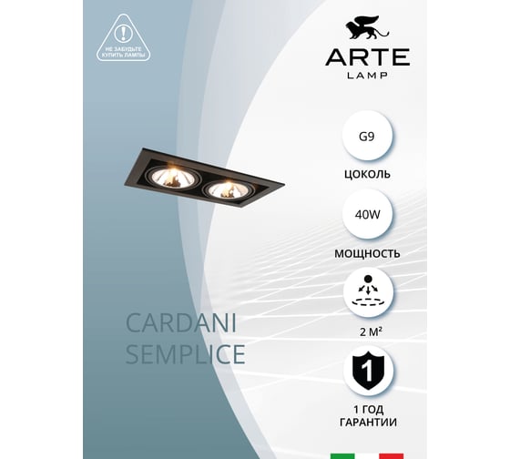 Потолочный светильник Arte Lamp A5949PL-2BK