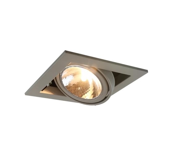 Потолочный светильник Arte Lamp A5949PL-1GY