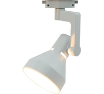 Потолочный светильник Arte Lamp A5108PL-1WH