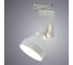 Потолочный светильник Arte Lamp A5108PL-1WH 2