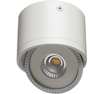 Потолочный светильник Arte Lamp A4105PL-1WH
