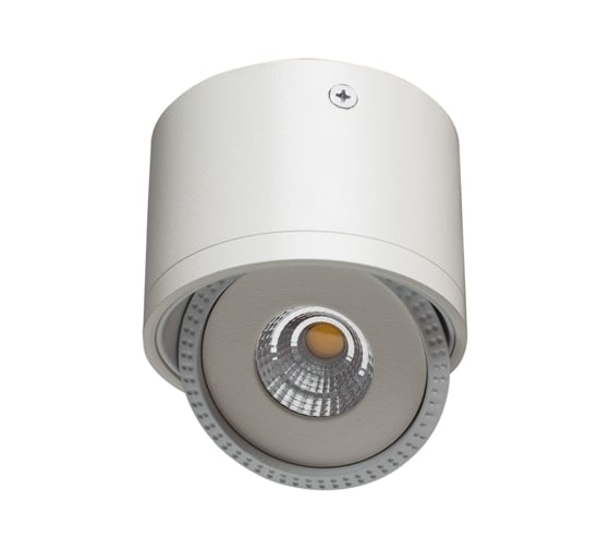 Потолочный светильник Arte Lamp A4105PL-1WH 1