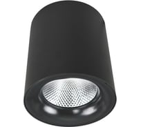 Потолочный светильник Arte Lamp A5130PL-1BK
