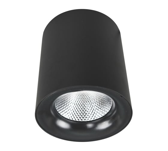 Потолочный светильник Arte Lamp A5130PL-1BK 1