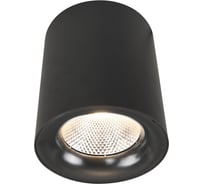 Потолочный светильник Arte Lamp A5118PL-1BK