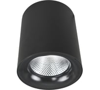 Потолочный светильник Arte Lamp A5112PL-1BK