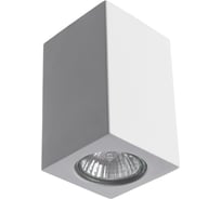 Потолочный светильник Arte Lamp A9264PL-1WH