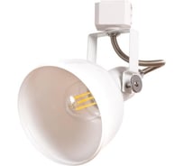 Потолочный светильник Arte Lamp A5213PL-1WH