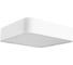 Потолочный светильник Arte Lamp A7210PL-2WH 1
