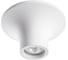 Потолочный светильник Arte Lamp A9460PL-1WH 1