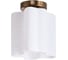 Потолочный светильник Arte Lamp A3459PL-1AB 1