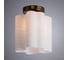 Потолочный светильник Arte Lamp A3459PL-1AB 3