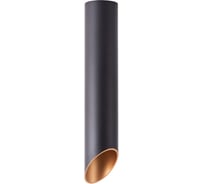 Потолочный светильник Arte Lamp A1536PL-1BK