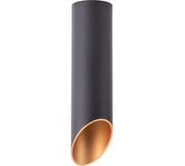 Потолочный светильник Arte Lamp A1535PL-1BK