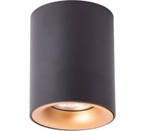 Потолочный светильник Arte Lamp A1532PL-1BK