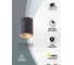 Потолочный светильник Arte Lamp A1532PL-1BK 2