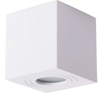 Потолочный светильник Arte Lamp GALOPIN A1461PL-1WH