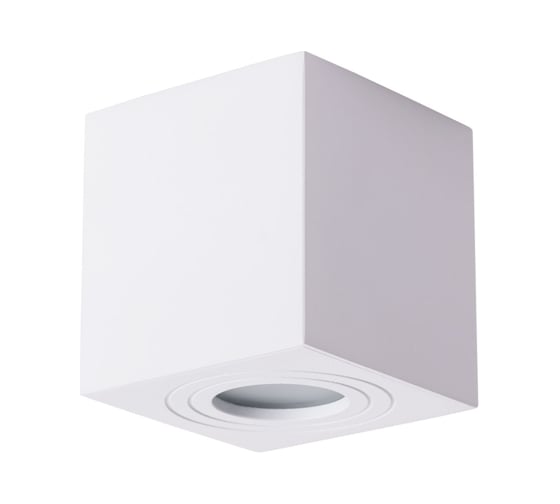 Потолочный светильник Arte Lamp GALOPIN A1461PL-1WH 1