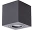Потолочный светильник Arte Lamp A1461PL-1BK 1