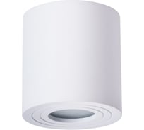 Потолочный светильник Arte Lamp A1460PL-1WH
